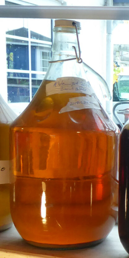 Demijohn 5 liter - Image 2